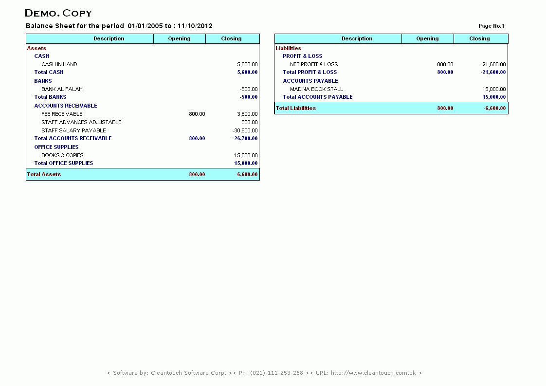 Institutional Balance Sheet Statement